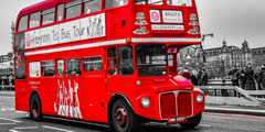 bus
