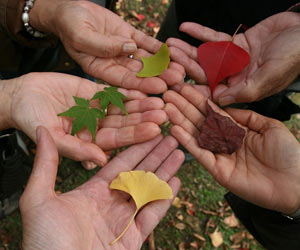 diversity